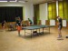 es110305_tur_zbr_130