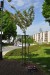es180501_bb-02_Boskovickbhy_JaroslavParma131